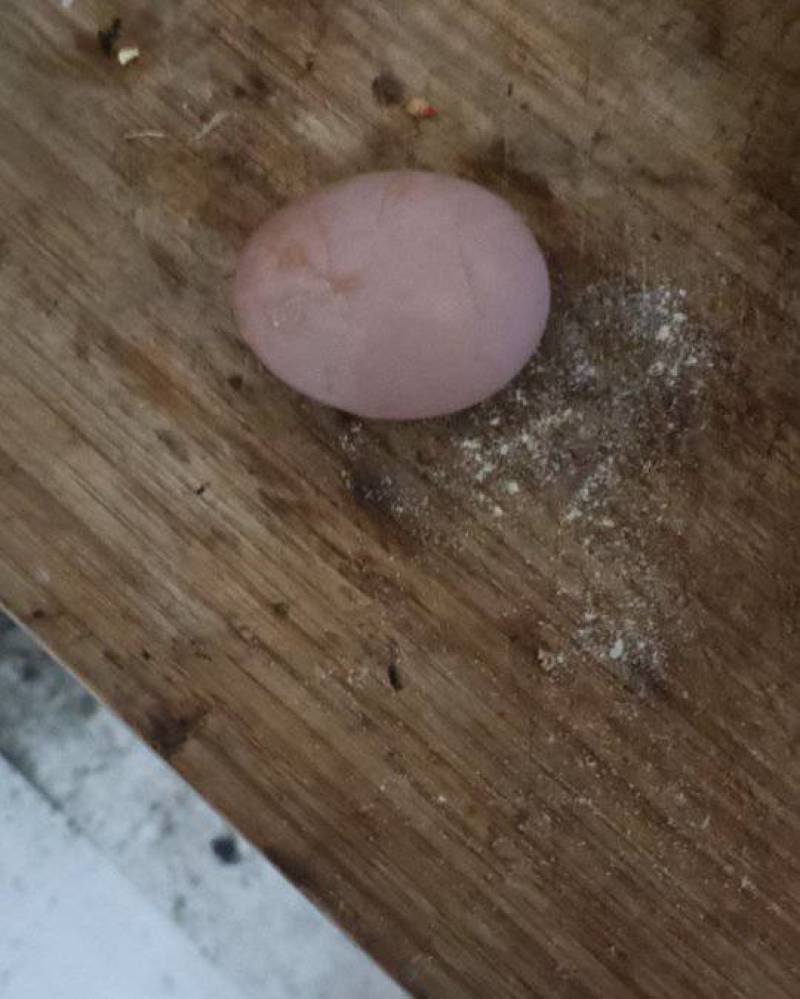 鸡蛋壳