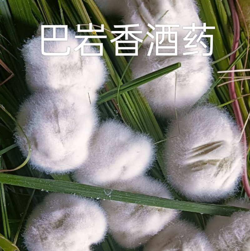 巴岩香酒曲