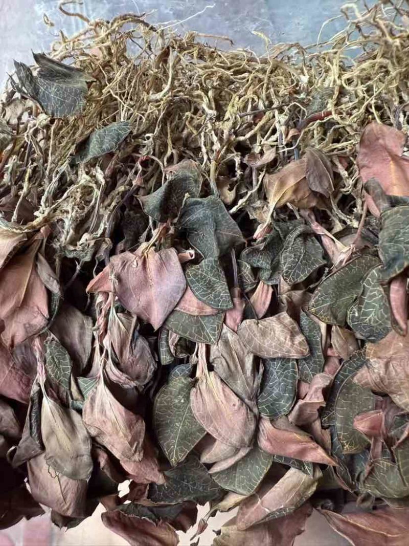 金线莲台湾红霞无加碎福建金线莲产地直供支持礼盒定制