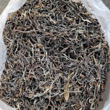 云南高山绿茶