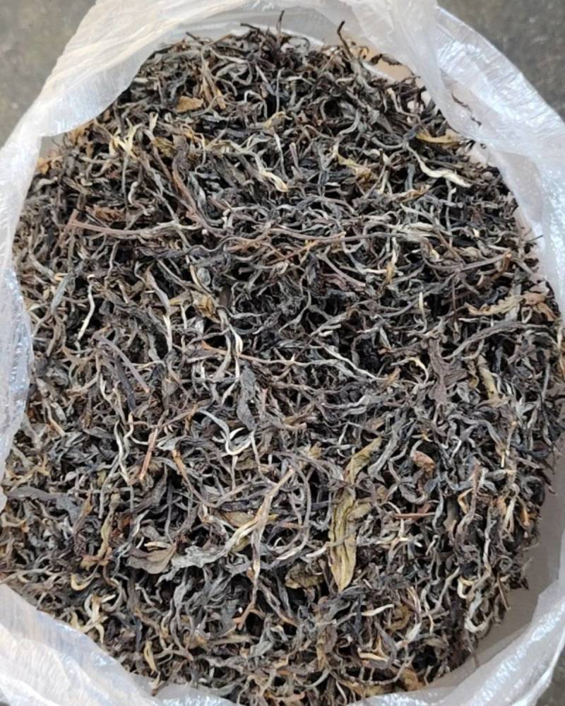 云南高山绿茶
