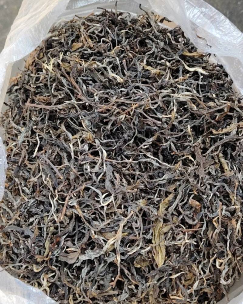 云南高山绿茶
