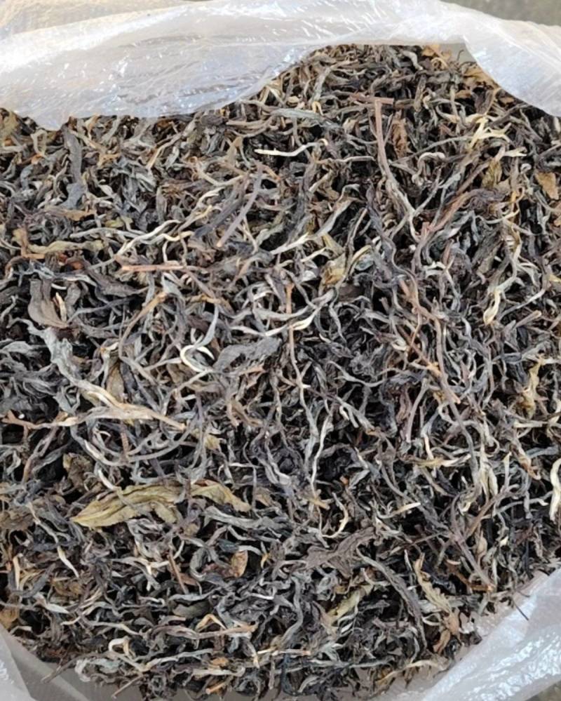 云南高山绿茶