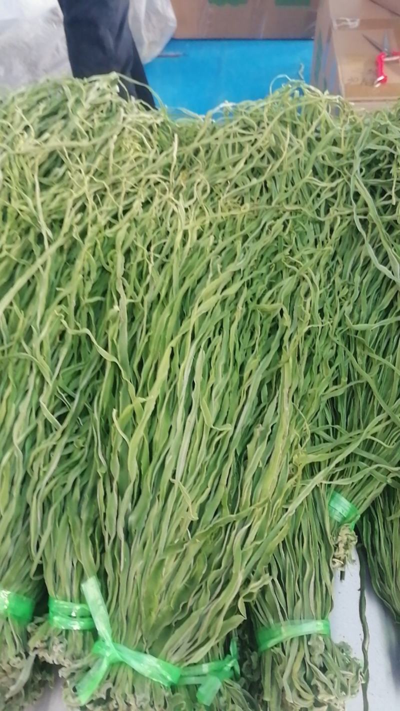 出售干贡菜
