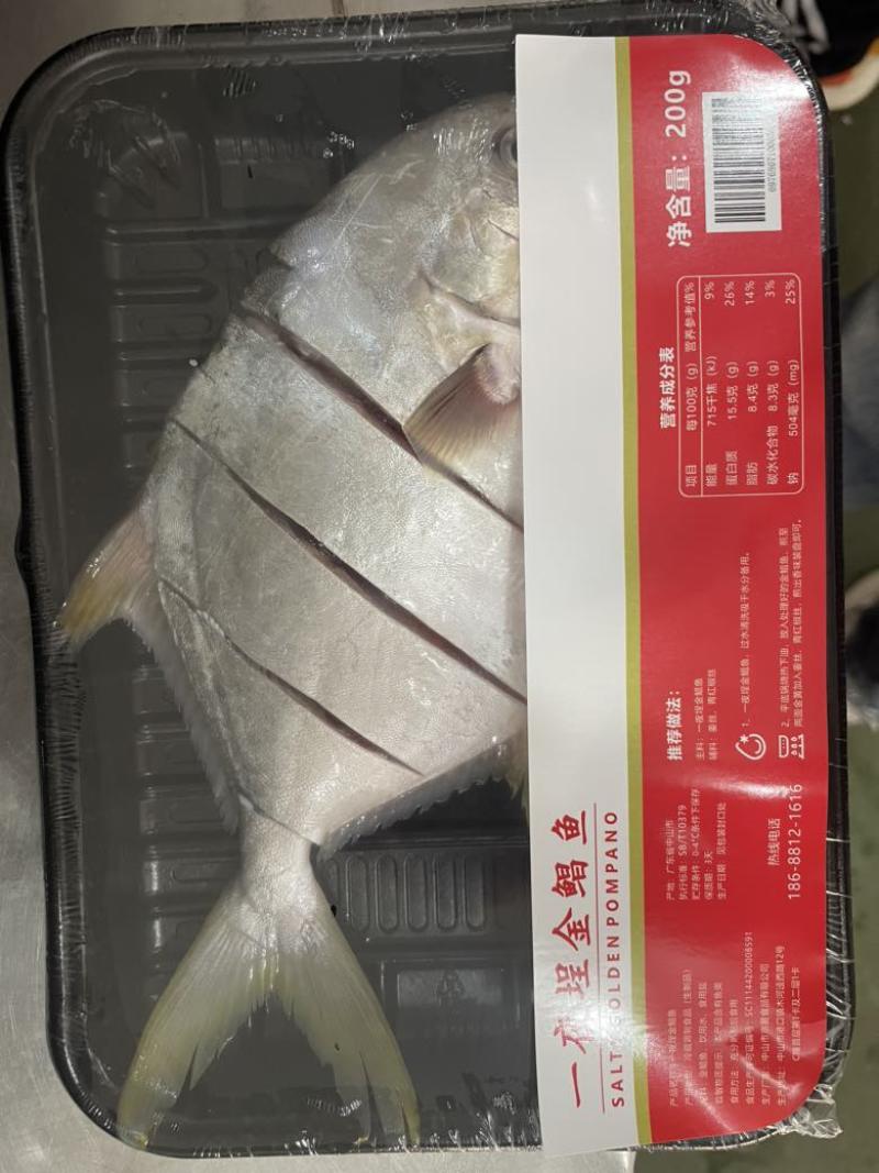 一夜埕金鲳鱼