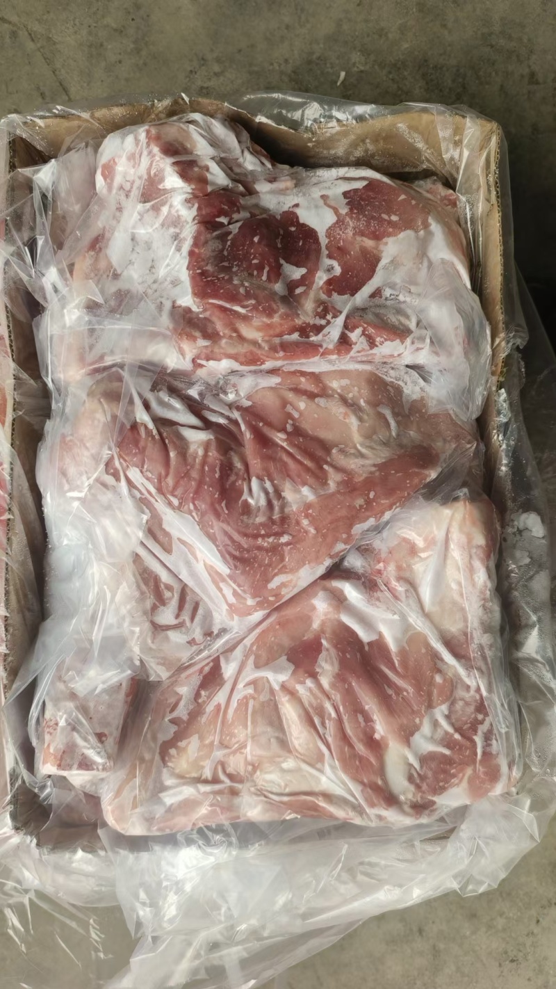 国产肥猪去颈前排