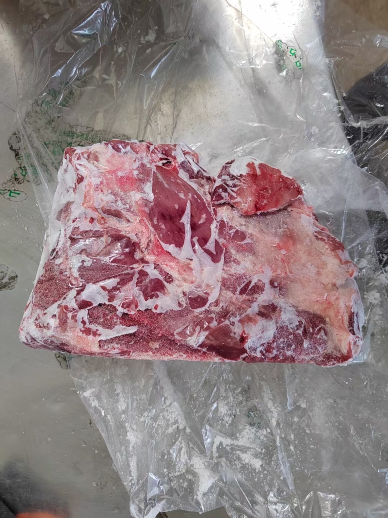 母猪去颈前排