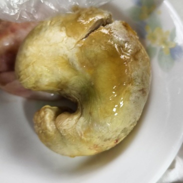 鸭宝