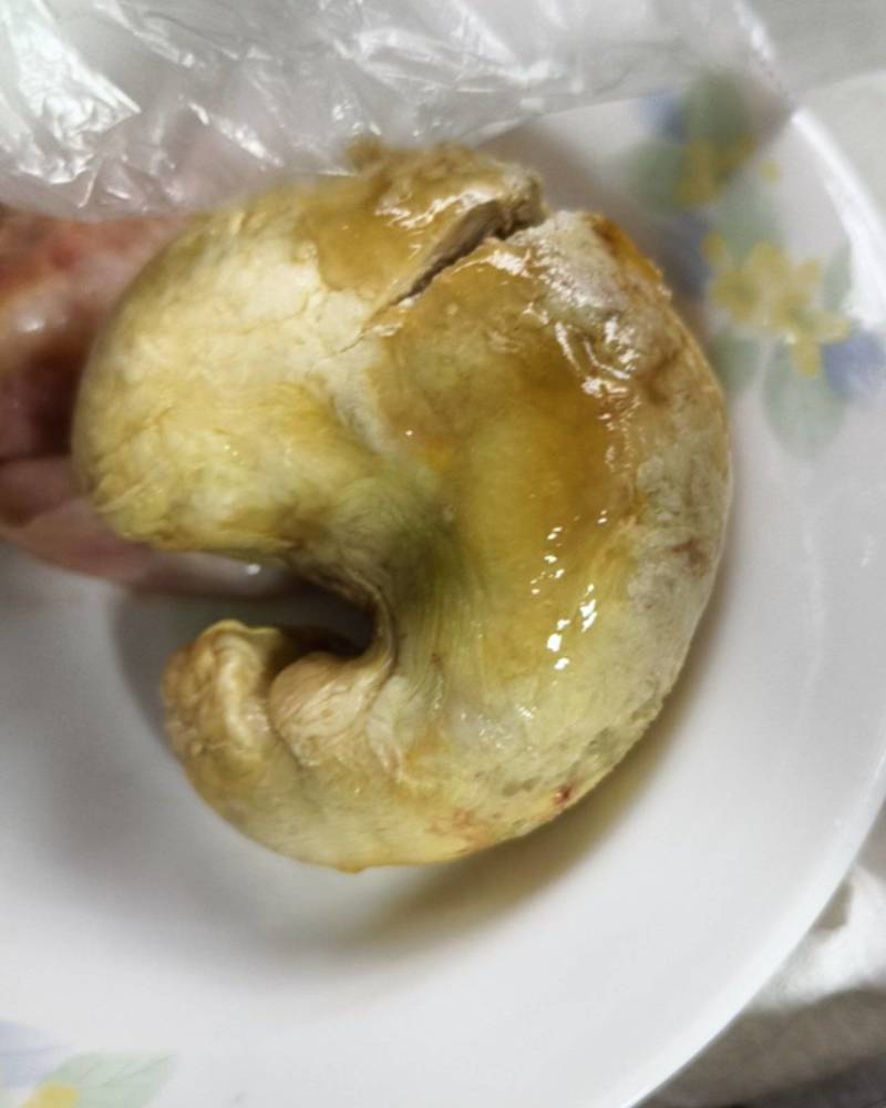 鸭宝