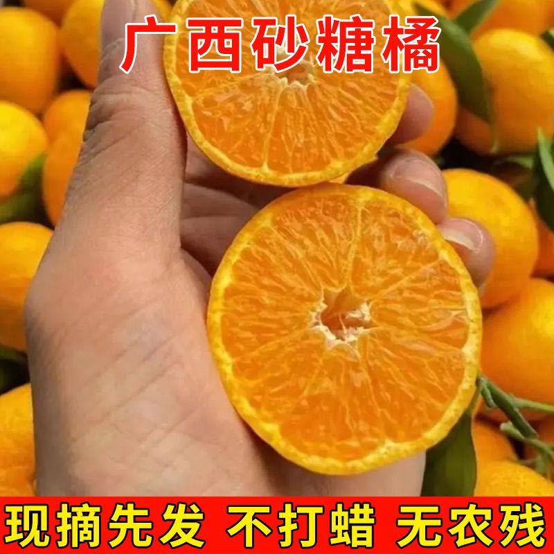 【爆甜】正宗广西沙糖桔纯甜无籽新鲜水果桔子砂糖橘小橘子包甜