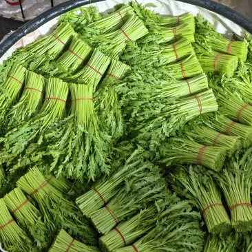 蔬菜