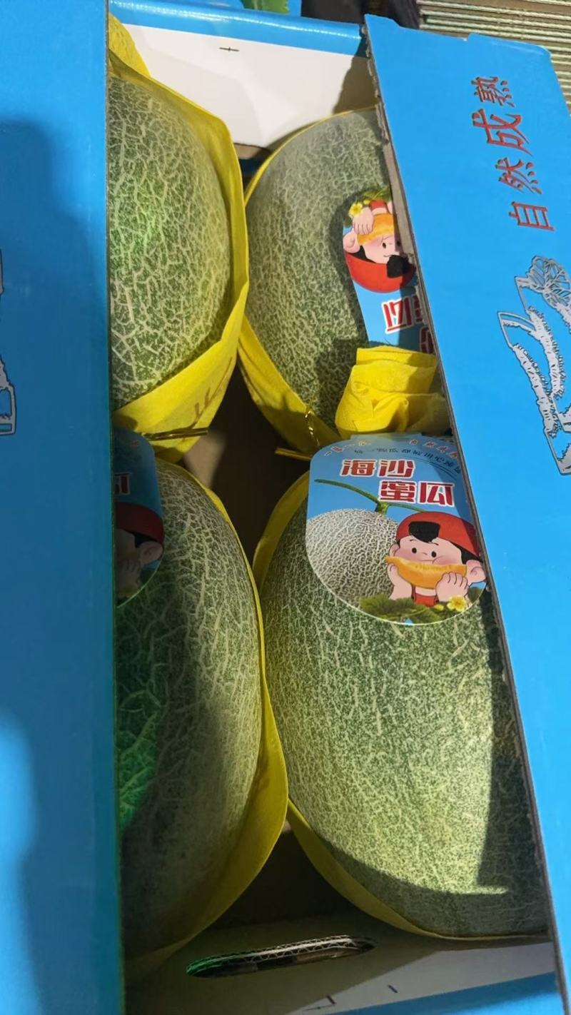 小密，哈密瓜主产