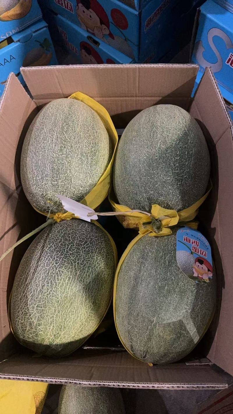 小密，哈密瓜主产