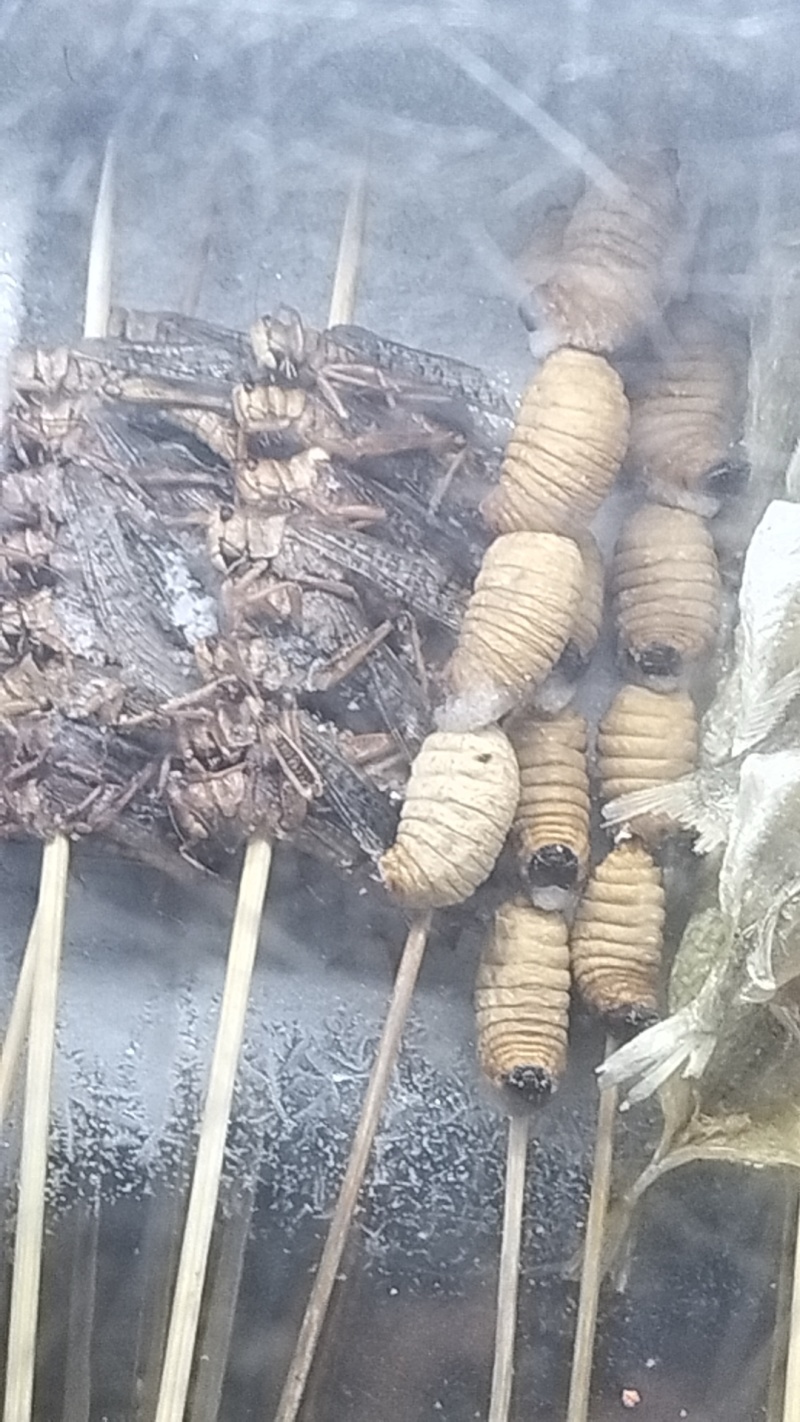 竹虫