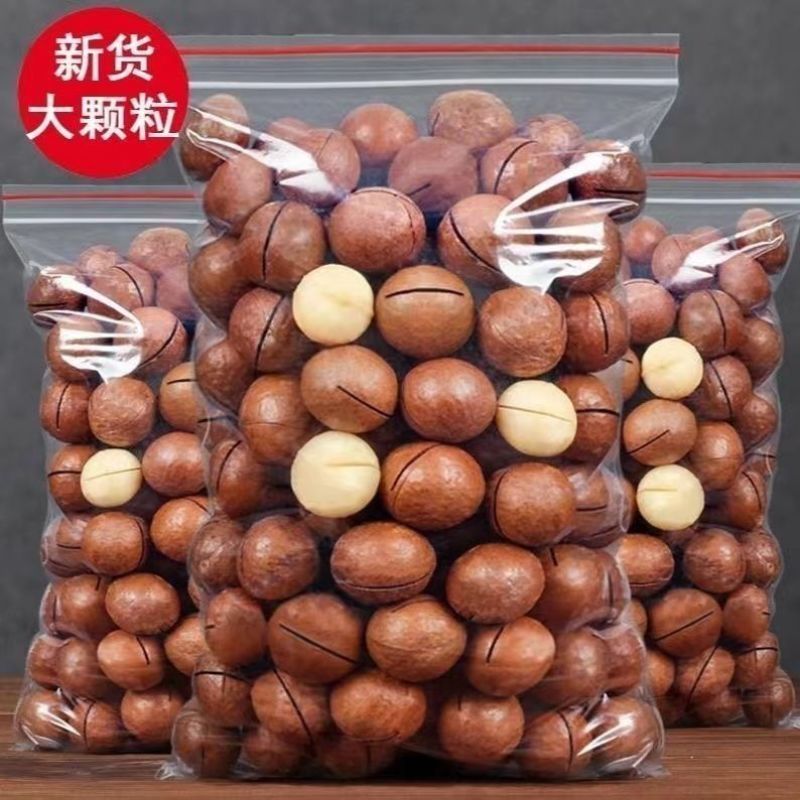新货大颗粒坚果休闲零食批发夏威夷果奶油味孕妈儿童