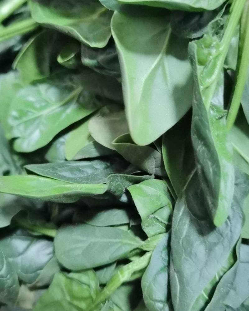 波菜