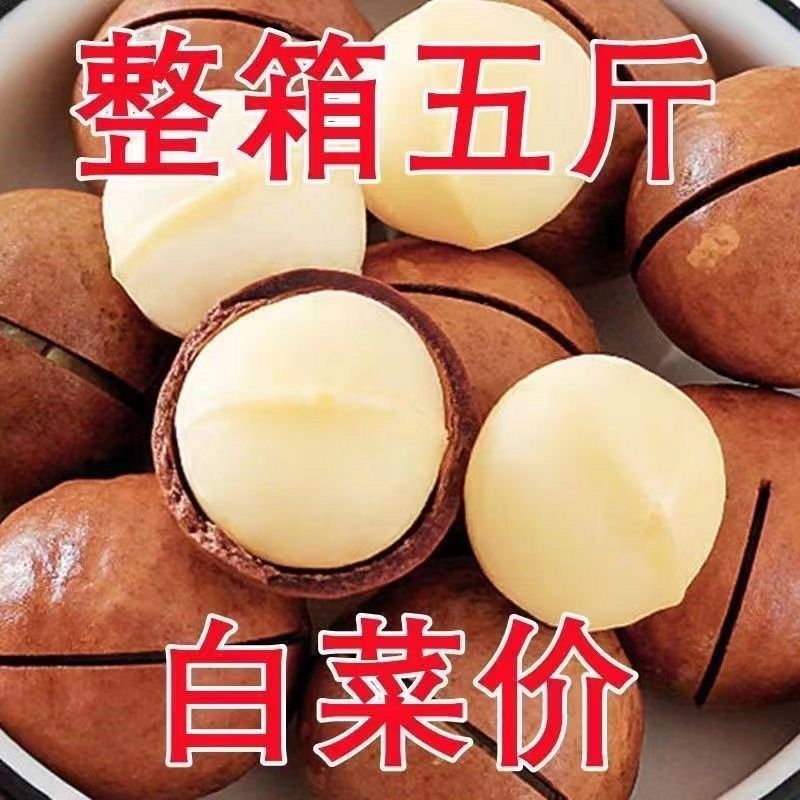 夏威夷果电商通货六元一斤，大量现货