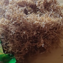 紫荆特色火锅笋丝笋片供应全国各大平台欢迎咨询！