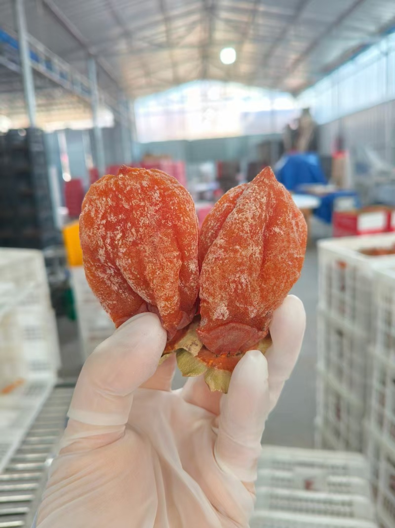 正宗富平柿饼