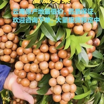 夏威夷果