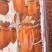 正宗富平柿饼，质量保证！