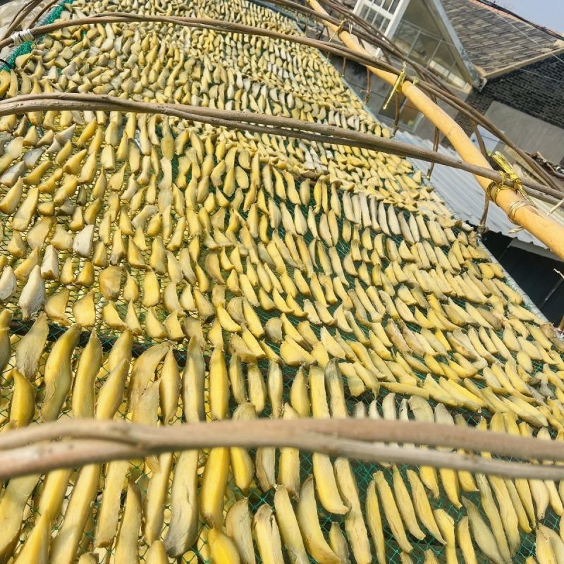 山东省威海市荣成市白霜蜂蜜罐地瓜干