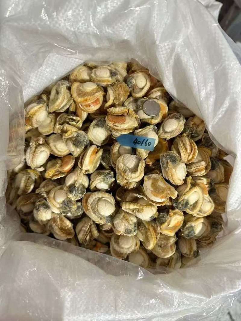 港湾扇贝肉40/60