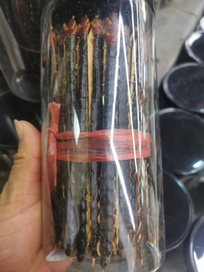 蜈蚣中药材蜈蚣/蜈蚣干红头蜈蚣保真实拍图正宗湖北蜈蚣