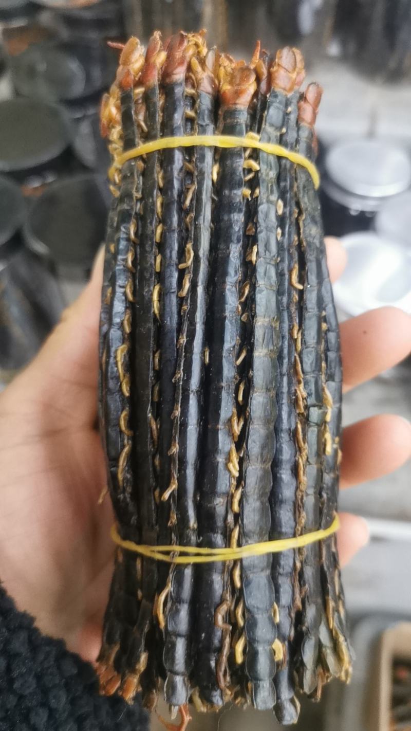 蜈蚣中药材蜈蚣/蜈蚣干红头蜈蚣保真实拍图正宗湖北蜈蚣