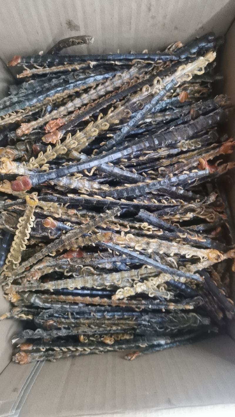 蜈蚣中药材蜈蚣/蜈蚣干红头蜈蚣保真实拍图正宗湖北蜈蚣