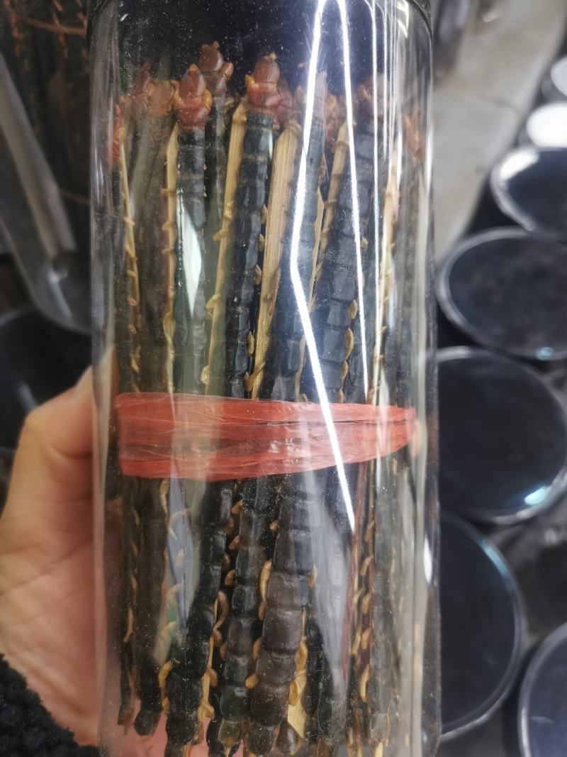 蜈蚣中药材蜈蚣/蜈蚣干红头蜈蚣保真实拍图正宗湖北蜈蚣