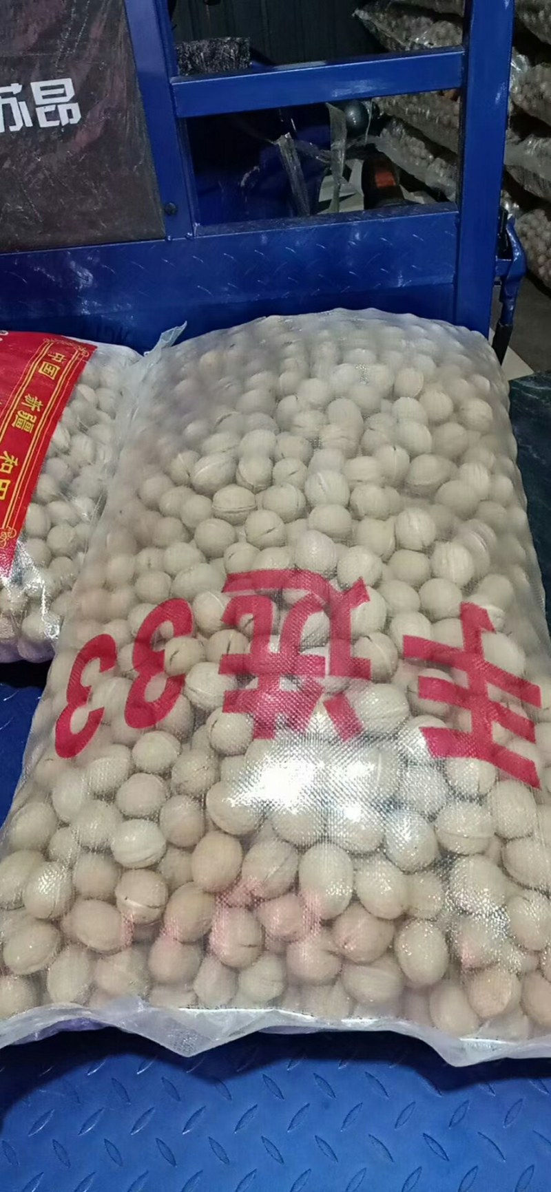 新疆核桃