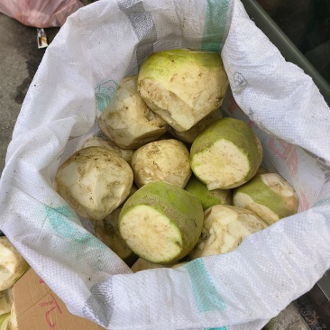 贵州瓮安县自家种的大头菜