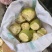 贵州瓮安县自家种的大头菜