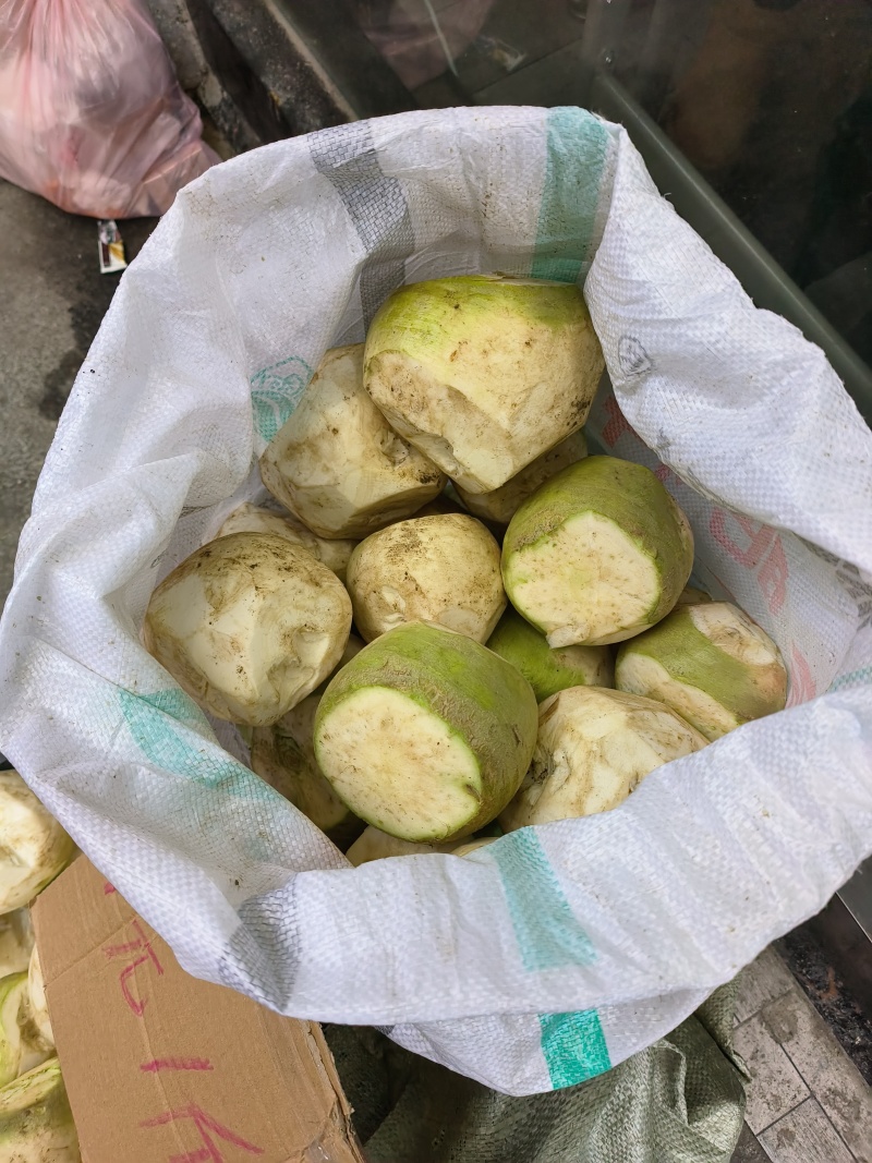 贵州瓮安县自家种的大头菜