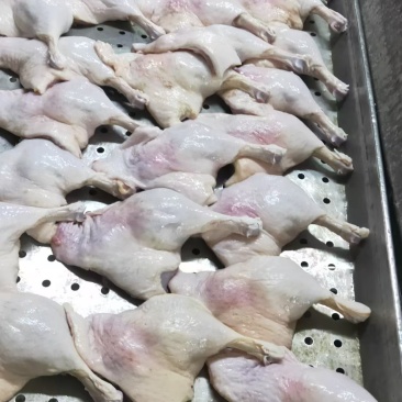 皮炎鸭边腿15吨