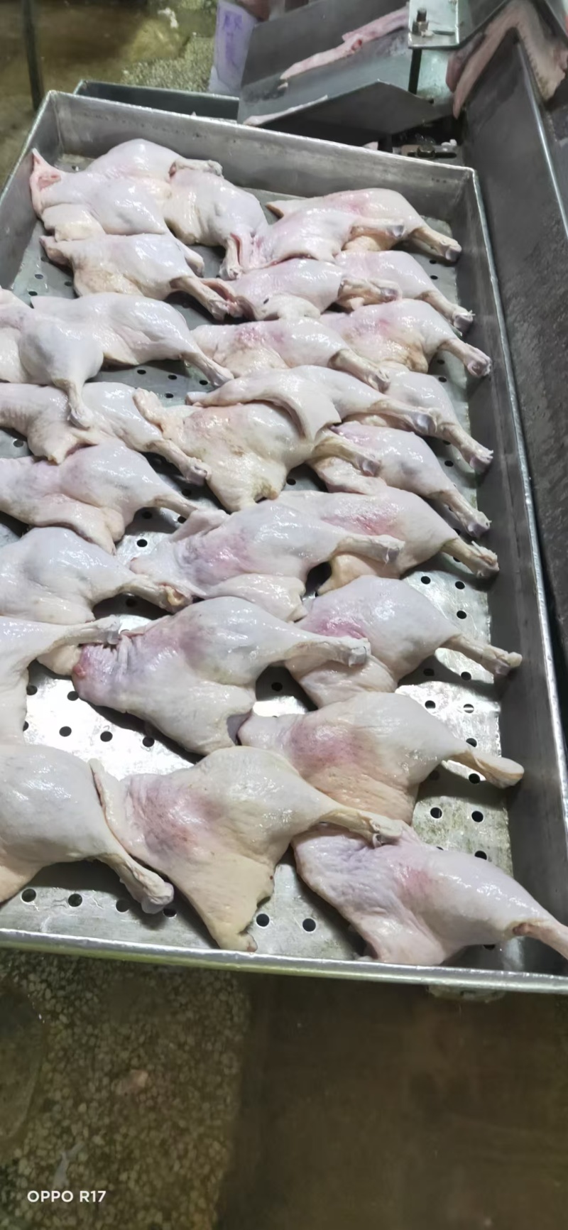 皮炎鸭边腿15吨