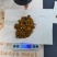 天然牛黄
