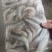 白对虾