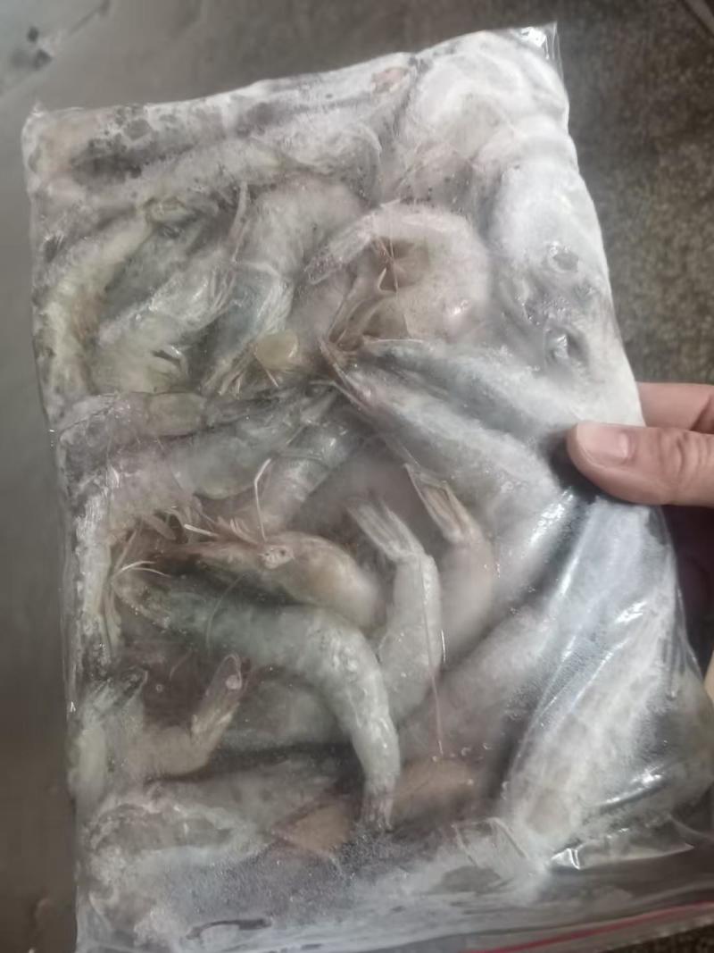 白对虾