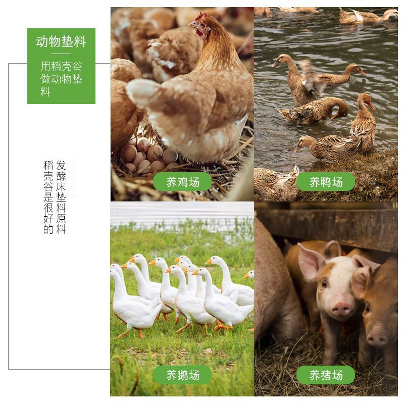 灵寿县宇鑫新材料有限公司常年批发稻壳
