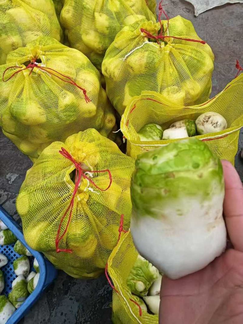 大量供应机洗大头菜泥大头菜