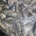 溪石斑鱼干