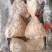 猪前后肘