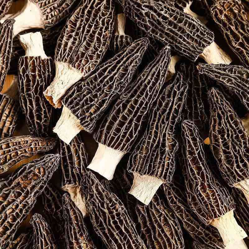 羊肚菌批发