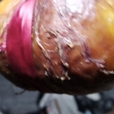65O克鸡宝一个想出售