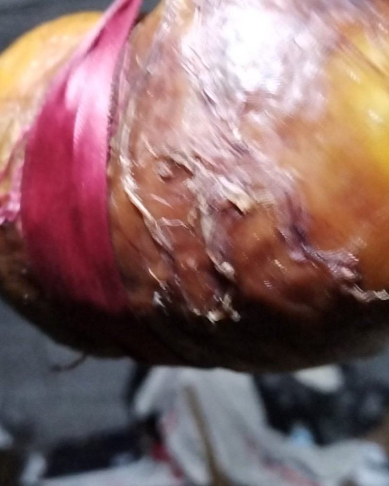 65O克鸡宝一个想出售