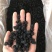 新疆桑葚干新货规格齐全无硫水洗桑葚干大货批发一手货