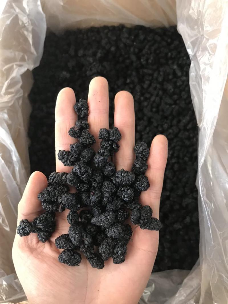 新疆桑葚干新货规格齐全无硫水洗桑葚干大货批发一手货
