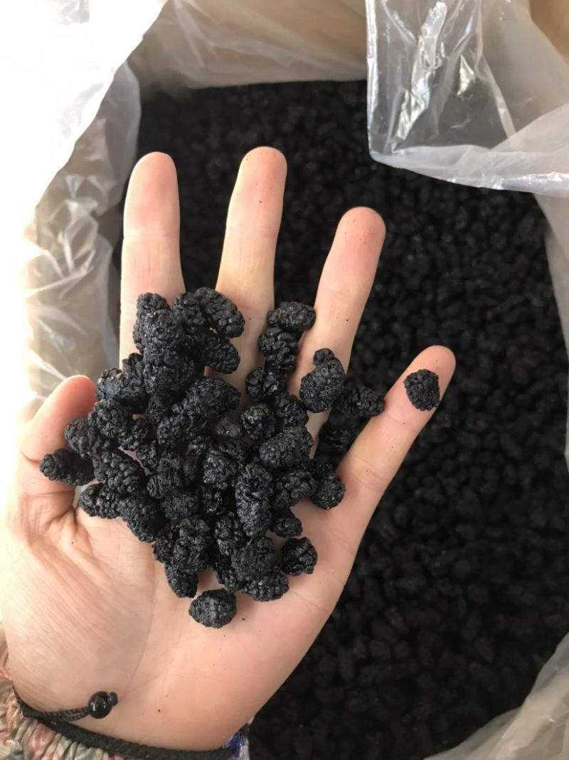 新疆桑葚干新货规格齐全无硫水洗桑葚干大货批发一手货